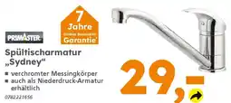 Globus Baumarkt PRIMASTER Spültischarmatur „Sydney" Angebot
