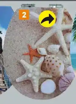 Globus Baumarkt PRIMASTER WC-Sitz,,Seestern Angebot