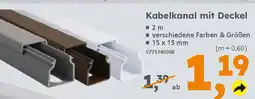 Globus Baumarkt Kabelkanal mit Deckel Angebot