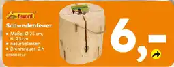 Globus Baumarkt favorit Schwedenfeuer Angebot