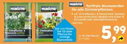 Globus Baumarkt PRIMASTER Torffreie Blumenerden für alle Zimmerpflanzen Angebot