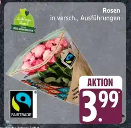 Edeka Rosen Angebot