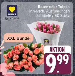 Edeka Rosen oder Tulpen Angebot