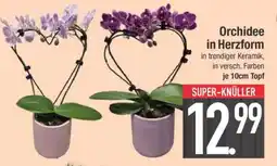 Edeka Orchidee in Herzform Angebot