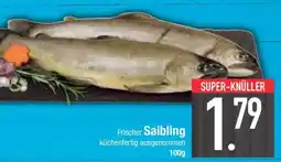 Edeka Frischer Saibling Angebot