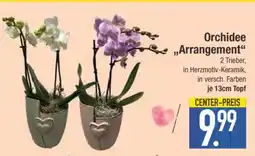 Edeka Orchidee 'Arrangement' Angebot