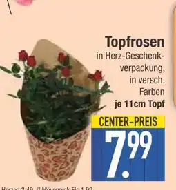 Edeka Topfrosen Angebot