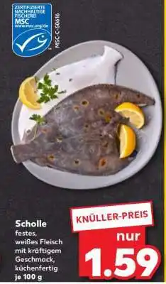 Kaufland Scholle Angebot