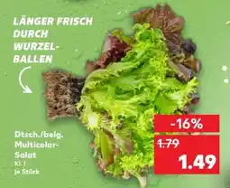 Kaufland Dtsch./belg. Multicolor-Salat Angebot