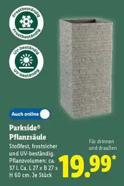 Lidl Parkside Pflanzsäule Angebot