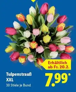 Lidl Tulpenstrauß XXL Angebot