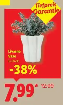 Lidl Livarno Vase Angebot