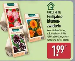Aldi Nord GARDENLINE Frühjahrsblumenzwiebeln Angebot