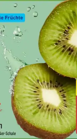 Aldi Nord Zespri Kiwi grün Angebot