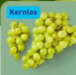 Aldi Nord Tafeltrauben Angebot