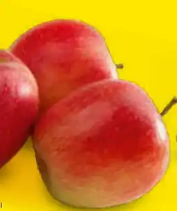 Netto Marken-Discount Äpfel Angebot