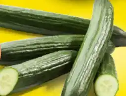 Netto Marken-Discount Gurke Angebot