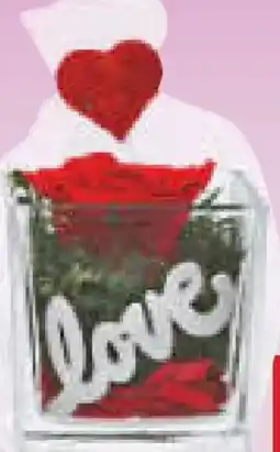 Netto Marken-Discount Eisrose in Glasvase Angebot