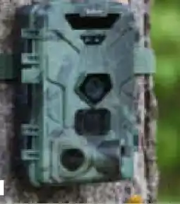 Netto Marken-Discount Denver Wildkamera WCT-8016 Angebot