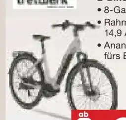 Netto Marken-Discount Tretwerk E-Bike Amber Angebot