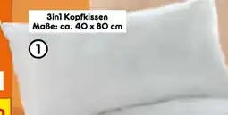 Netto Marken-Discount Dekor Kopfkissen Angebot