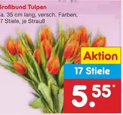 Netto Marken-Discount Tulpen-Großbund Angebot