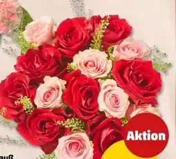 PENNY Rosen-Strauß Angebot