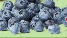 PENNY Heidelbeeren XXL Angebot