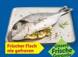 Lidl Fischerstolz Dorade Royal Angebot