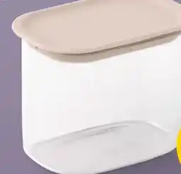 PENNY Brabantia Behalter Angebot