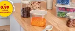 PENNY Brabantia Lebensmittelaufbewahrung Angebot