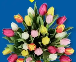 Lidl XXL Tulpenstrauß Angebot
