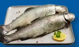 Lidl Fischerstolz Regenbogenforelle Angebot