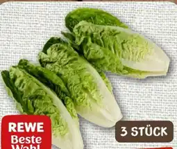 nahkauf Rewe Beste Wahl Romana Salatherzen Angebot