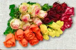 nahkauf Hochlandrosen Angebot