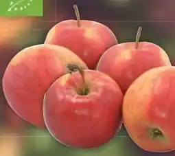 E-Center Bio-Tafeläpfel Gala Angebot