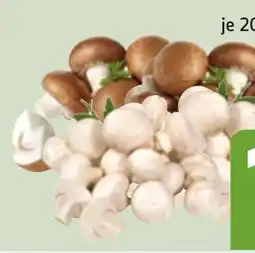 Edeka Xpress Bio-Champignons Angebot