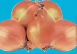 E-Center Zwiebeln Angebot