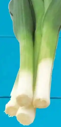 E-Center Porree Angebot