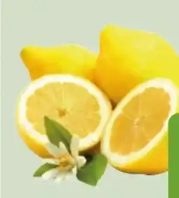 Edeka Xpress Bio-Zitronen Angebot