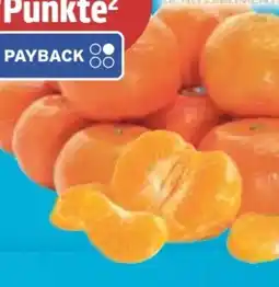 E-Center SanLucar Mandarinen Angebot