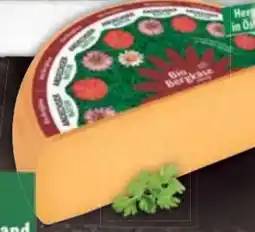 E-Center Andechser Natur Bio Bergkäse Angebot