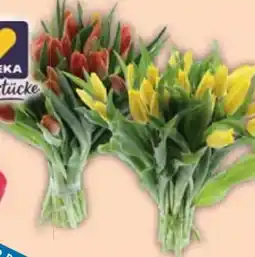 E-Center Edeka Herzstücke Tulpen-Strauß XL Angebot