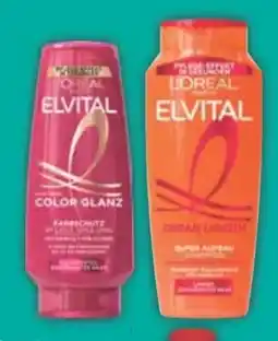 E-Center L'Oréal Paris Elvital Shampoo Angebot