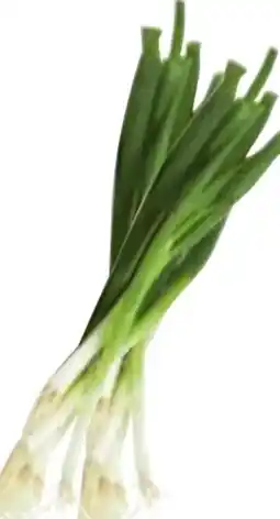 Edeka Lauchzwiebeln Angebot