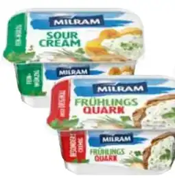 Edeka Milram Zaziki Angebot