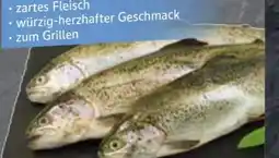 Edeka Forellen Angebot