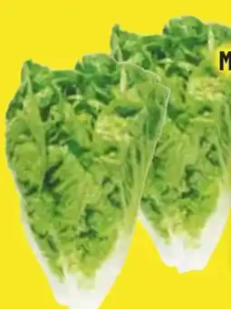 Edeka Edeka Herzstücke Mini Romanasalat Angebot