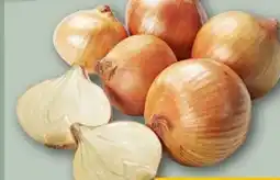 REWE Center Gemüsezwiebeln Angebot