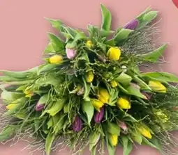 REWE Center Tulpenstrauß Lollipop Deluxe Angebot